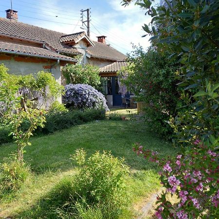 La Maison Molières Montauban Extérieur photo
