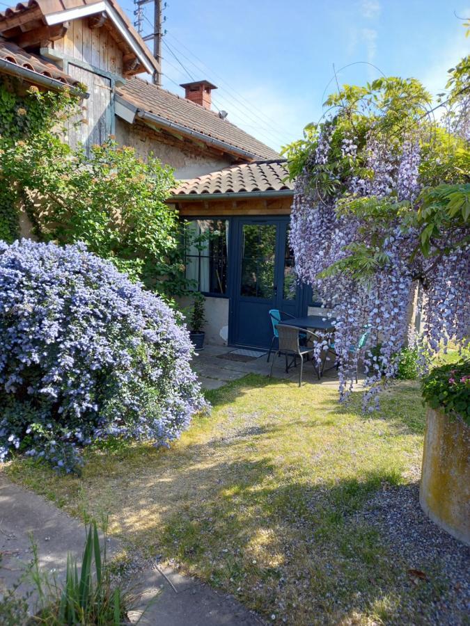 La Maison Molières Montauban Extérieur photo