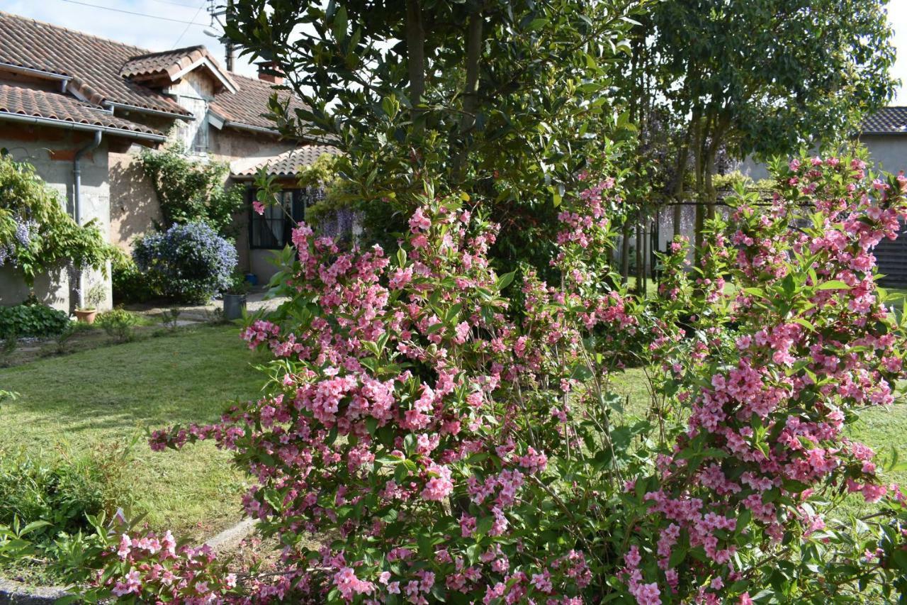 La Maison Molières Montauban Extérieur photo